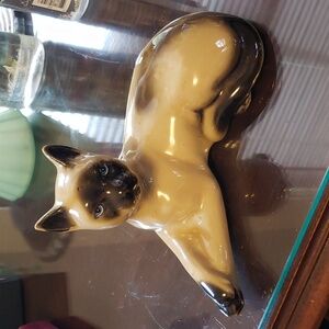 Siamese vintage 🐈 cat